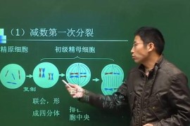 爱学堂高一语文数学英语物理化学生物历史地理政治九科全套视频课程（170G视频课程）百度网盘