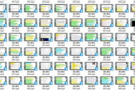 跟谁学宋维钢词霸天下38000词汇速记全集（54G完结打包）百度网盘