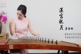 2019古筝名曲欣赏（蓝光打包）百度网盘