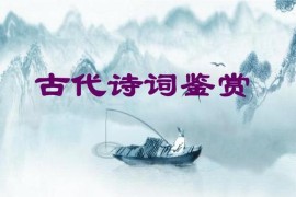 2019高考语文一轮复习精华基础班视频资料(5大讲高清打包)百度网盘