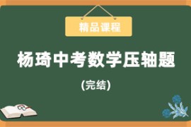 2022杨琦中考压轴数学题精讲课程百度网盘分享下载（完结）