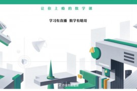 ​作业帮-2020年秋季班高二肖晗数学（课改）（3.86G高清视频）百度云网盘资源