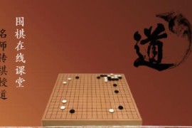 爱棋道围棋一段班-袁嘉华(32课时5.05G)mp4视频 百度网盘分享