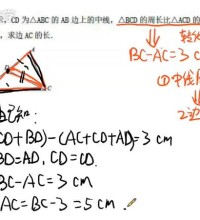 傲德初二数学全年班直播辅导视频-讲课截图（3）
