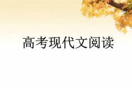 2019高考语文一轮复习卓越拔高提分班视频教程(4大讲高清打包)百度网盘