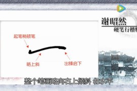 谢昭然硬笔行楷精讲动画(41讲高清)百度网盘