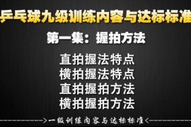 乒乓球业余一级到专业九级训练教学与达标标准（720P超清）百度网盘