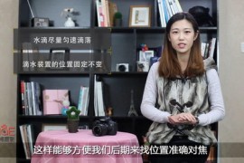 单反基础摄影入门课程教学培训零基础实战摄影私教-蚂蚁摄影大白话视频教程（超清通用版）百度网盘分享