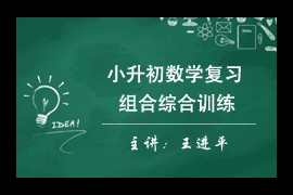 讲师名称：王进平组合题型复习辅导提高视频课程(王进平 10讲)百度网盘下载