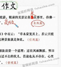 魏桂双初三语文上学期综合辅导-讲课截图(2)