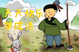 小学语文积累必备 天天快乐学成语(学而思张瑾53讲视频)百度网盘