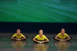 中国舞蹈家协会舞蹈考级教材（第三版）百度网盘