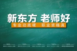 新东方格格老师英音基础视频 百度网盘