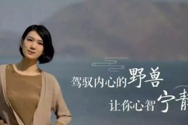 安心正念课：增加人生的掌控力（完结）mp3音频 百度网盘