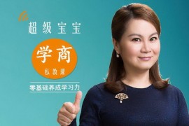 超级宝宝“学商”私教课（完结）