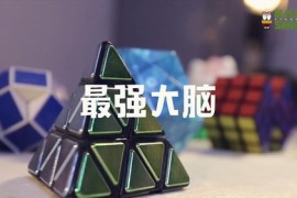 凯叔亲子魔方特训营-伟大姐姐四阶金字塔二阶全搞定（高清完结打包）百度网盘分享