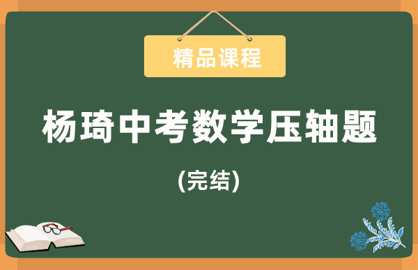 杨琦中考数学压轴题精讲课程.jpg