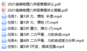 柴森初中八年级物理全套视频网课-文件截图(3)