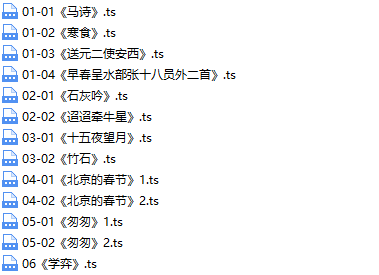 螺蛳语文六年级语文课本同步动画精讲-文件截图（3）