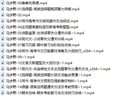 马步野2020-2021高考语文二轮辅导-文件截图（3）
