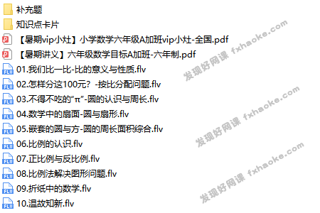 张新刚六年级数学上学期课外辅导-文件截图（2）